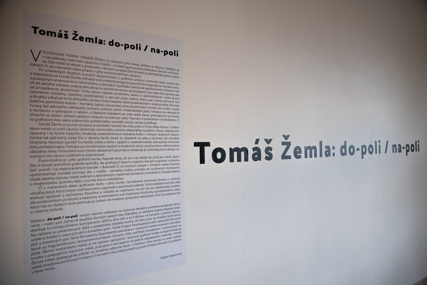 Pozývame Vás na komentovanú prehliadku výstavy Tomáša Žemlu do-poli / na-poli