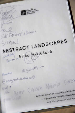 Erika miklóšová abstract landscapes - DSC_1387 copy
