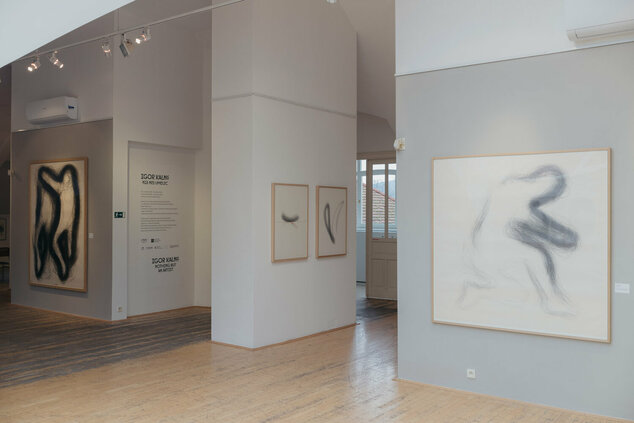 Igor kalný - nič než umelec - galeria_bazovskeho_dvaja (23)