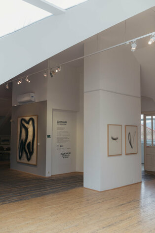 Igor kalný - nič než umelec - galeria_bazovskeho_dvaja (24)