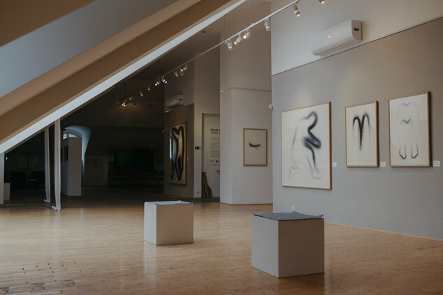 Igor kalný - nič než umelec - galeria_bazovskeho_dvaja (9)