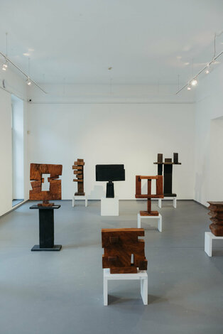 Rudolf uher/ stopy - galeria_bazovskeho_dvaja (54)