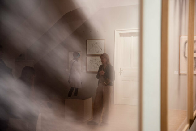 Komentovaná prehliadka výstavy igor kalný / nič než umelec - DSC_2433 copy