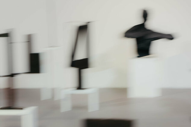 Rudolf uher/ stopy - uher_stopy_galeria_bazovsky_dvaja (123)