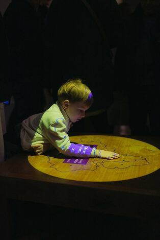 Vernisáž výstavy ochrana pamiatok a moderná architektúra trenčianskeho kraja: súčasný stav a výzvy - cat_vernisáž_dvaja (65)