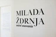 Milada ždrnja / snivé snovanie - DSC07922