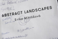 Erika Miklóšová Abstract landscapes