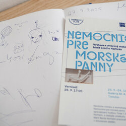 Nemocnica pre morské panny