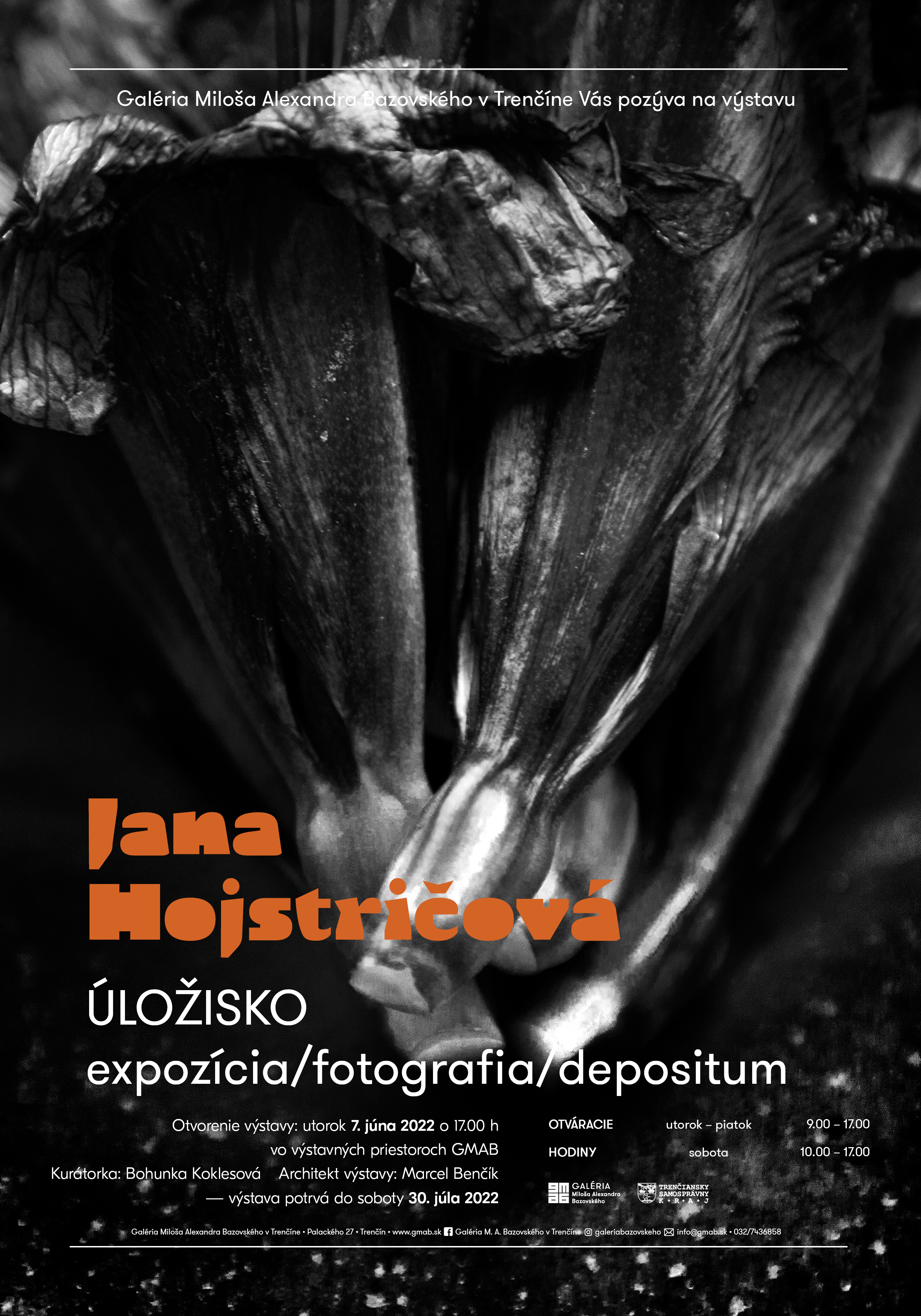 Pripravujeme pre Vás výstavu- Jana Hojstričová - Úložisko Pripravujeme pre Vás výstavu- Jana Hojstričová - Úložisko